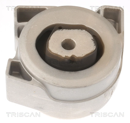 Poduszka (podpora skrzyni biegów) Mercedes A hatchback (W169) (2004 - 2012) cena, od 55,02 USD