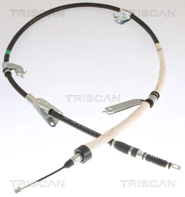 8140431098 Triscan