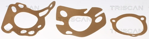 Do koszyka Termostat Renault Safrane I B54