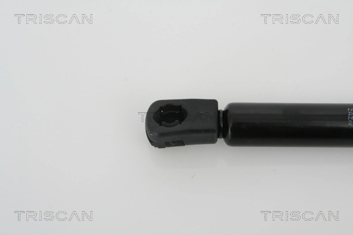 Amortyzator klapy bagażnika (3/5 drzwi-tylnych) Chevrolet Aveo I hatchback (T200) (2003 - 2008) cena, od 14,34 USD