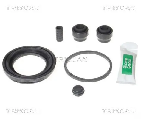 8170205477 Triscan