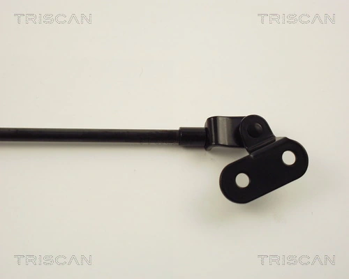 Amortyzator klapy bagażnika (3/5 drzwi-tylnych) Nissan Micra hatchback (K10) (1982 - 1992) cena, od 28,15 USD