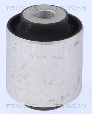 8500118024 Triscan