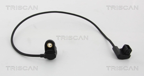 886511106 Triscan