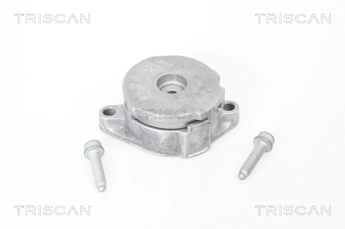 Napinacz paska napędowego do Volkswagen Transporter T4 70B, 70C, 7DB, 7DK, 70J, 70K, 7DC, 7DJ