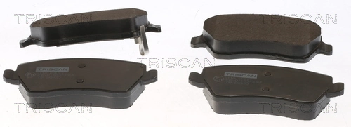 811069017 Triscan