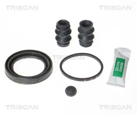 8170205132 Triscan