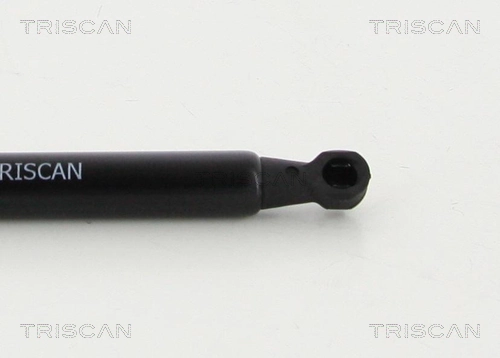 Amortyzator klapy bagażnika (3/5 drzwi-tylnych) Toyota Prius hatchback (NHW20) (2003 - 2009) cena, od 10,47 USD
