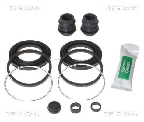 8170204521 Triscan