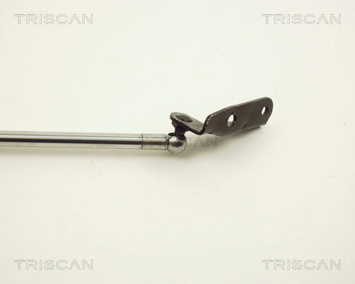 Amortyzator klapy bagażnika (3/5 drzwi-tylnych) Toyota Picnic minivan (XM1) (1996 - 2001) cena, od 68,28 USD