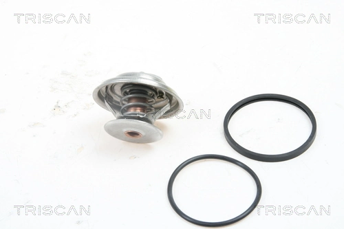 Termostat Mercedes E 