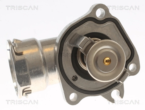 Termostat Mercedes GL