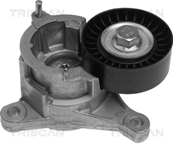 Napinacz paska napędowego Peugeot 407 