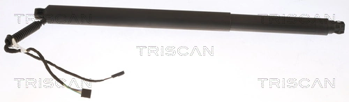 871029312 Triscan