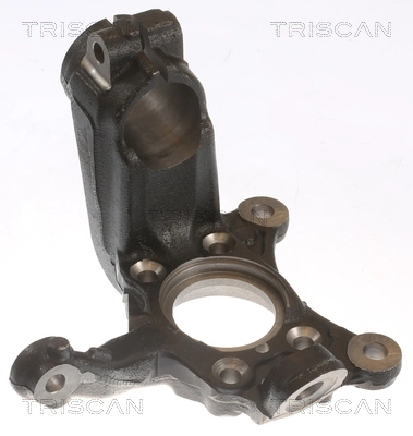 850029711 Triscan