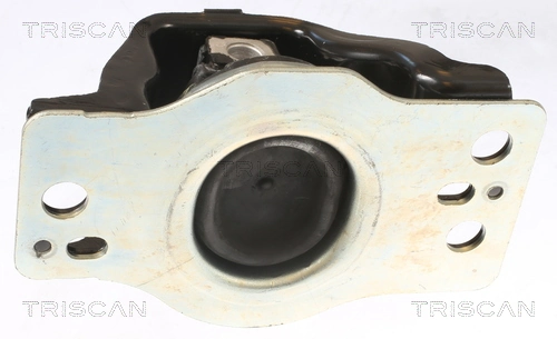 Poduszka (podpora) silnika prawa Renault Megane II hatchback (BM0, CM0, BM1, CM1) (2002 - 2012) cena, od 73,64 USD