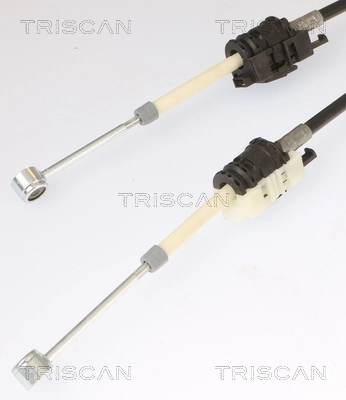 814025724 Triscan