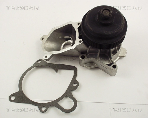 860011011 Triscan