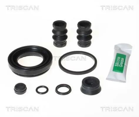 8170204101 Triscan