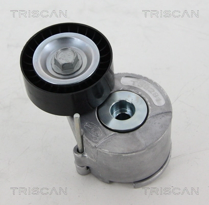 Napinacz paska napędowego do Fiat Doblo II 263