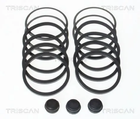 8170201581 Triscan