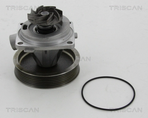 860010080 Triscan