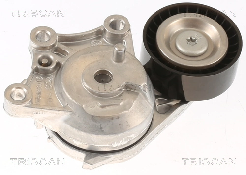 Do koszyka 9824830580 Peugeot/Citroen Napinacz paska napędowego