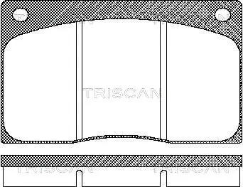 811010799 Triscan