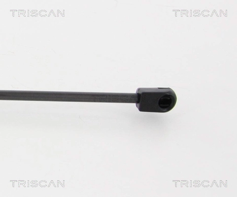 Amortyzator klapy bagażnika (3/5 drzwi-tylnych) Renault Megane III kombi (KZ0, KZ1) (2008 - 2016) cena, od 16,33 USD
