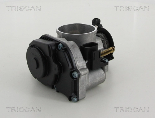 Przepustnica, komplet Audi A6 C4 kombi (4A5) (1994 - 1998) cena, od 72,73 USD