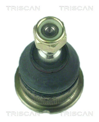 Do koszyka Sworzeń wahacza dolny Renault Laguna I B56, 556