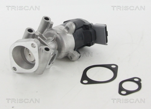 881310009 Triscan
