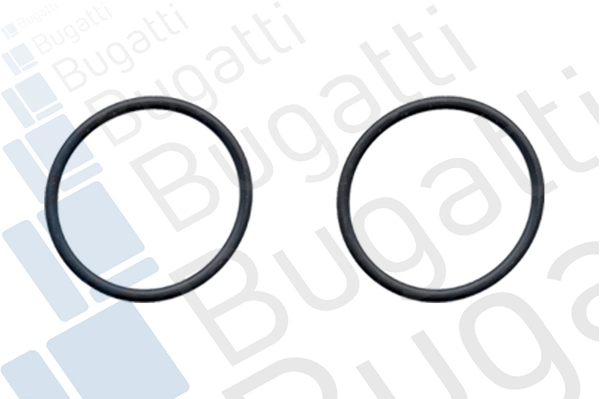 PA0319C Bugatti Pompa chłodzenia wodą, w komplecie z obudową
