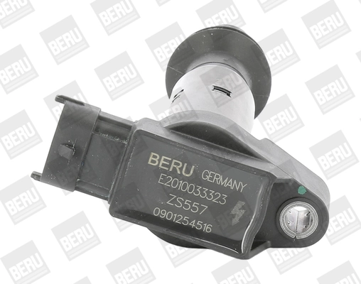 ZS557 Beru