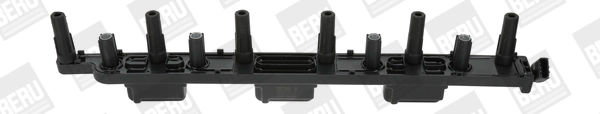 ZS452 Beru