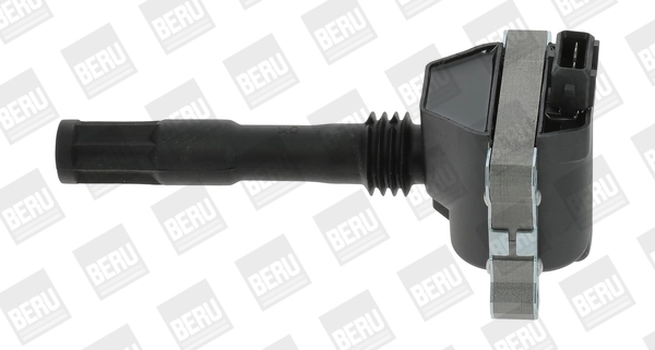 ZS428 Beru