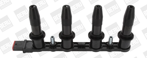 ZS427 Beru