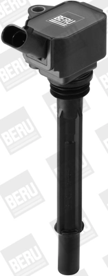ZS096 Beru