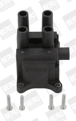 ZS387 Beru