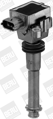 ZS311 Beru