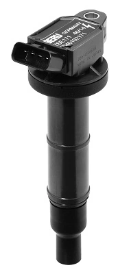 Cewka zapłonowa Beru ZSE171 cena, od 33,03 USD