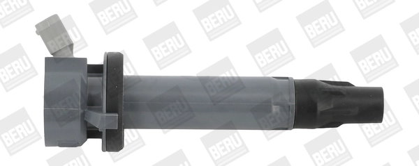 ZSE194 Beru