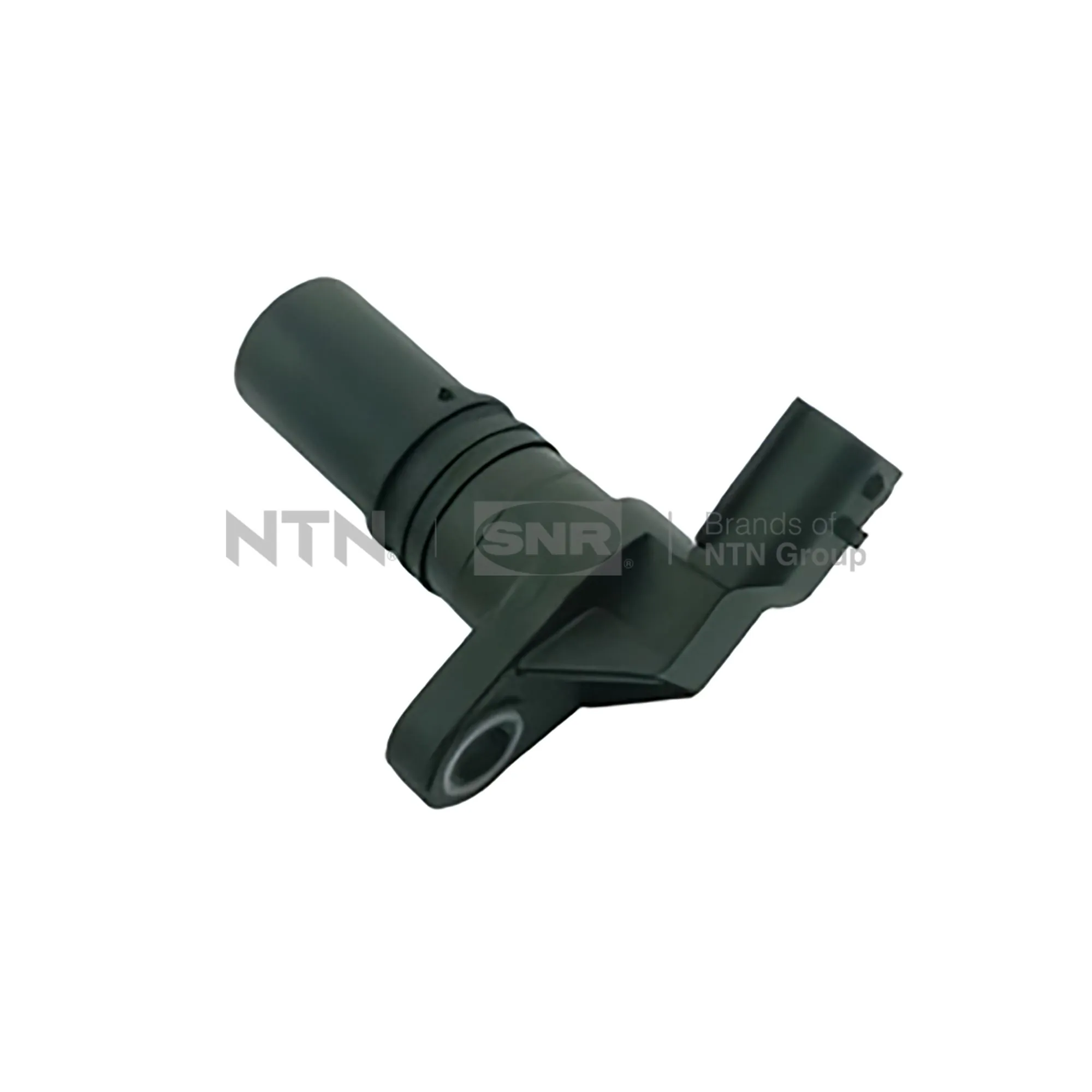CKP15302 SNR