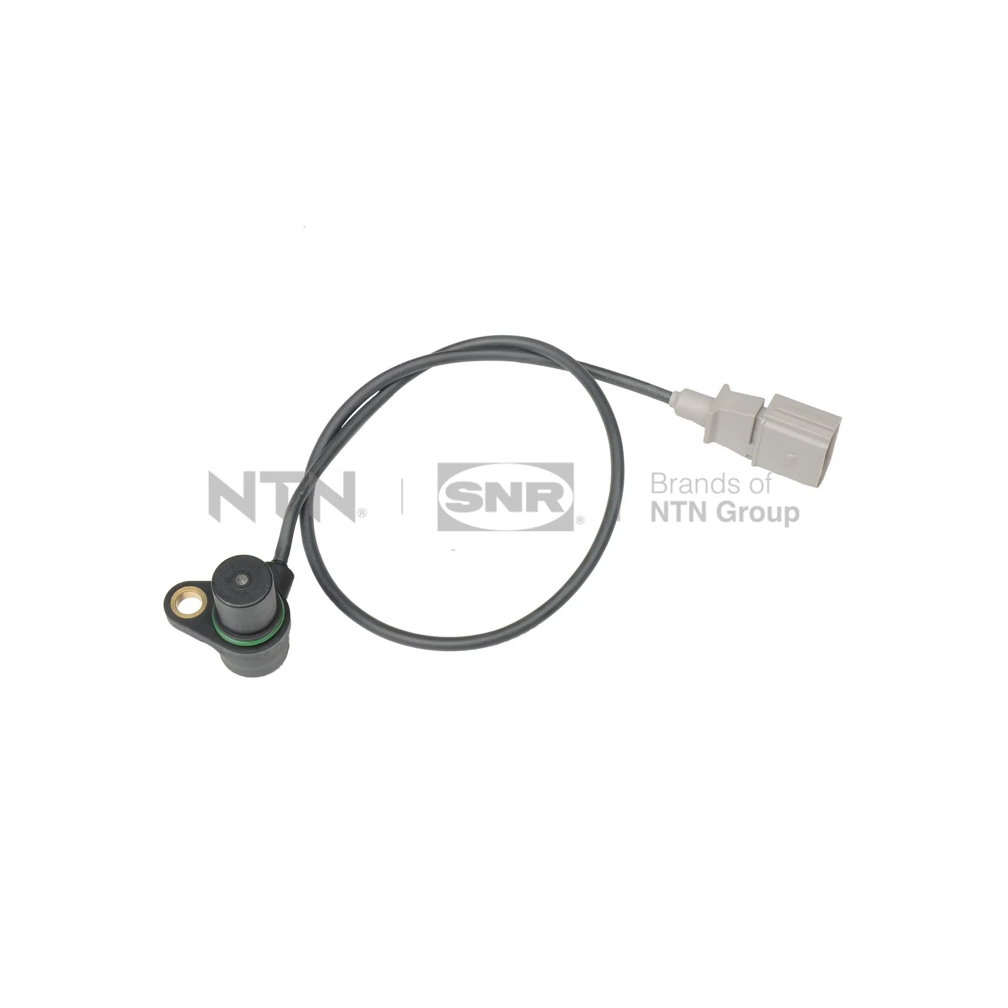 CKP15411 SNR