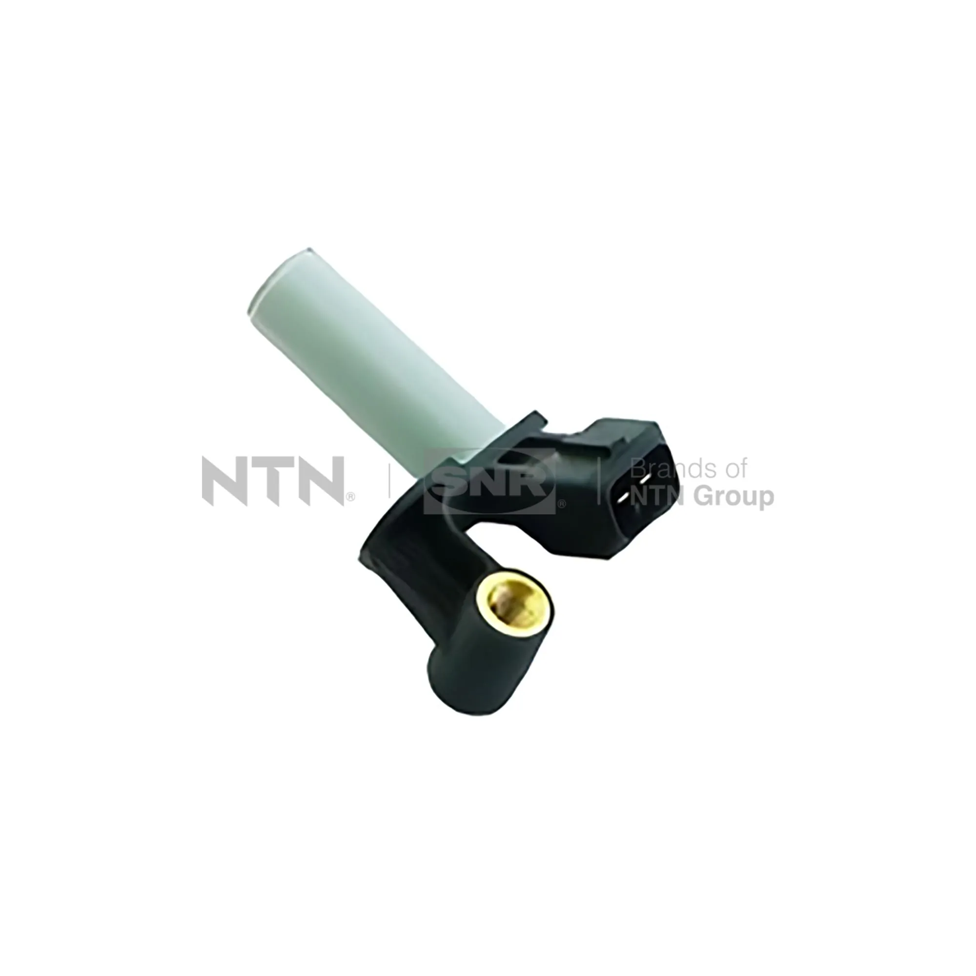 CKP15805 SNR