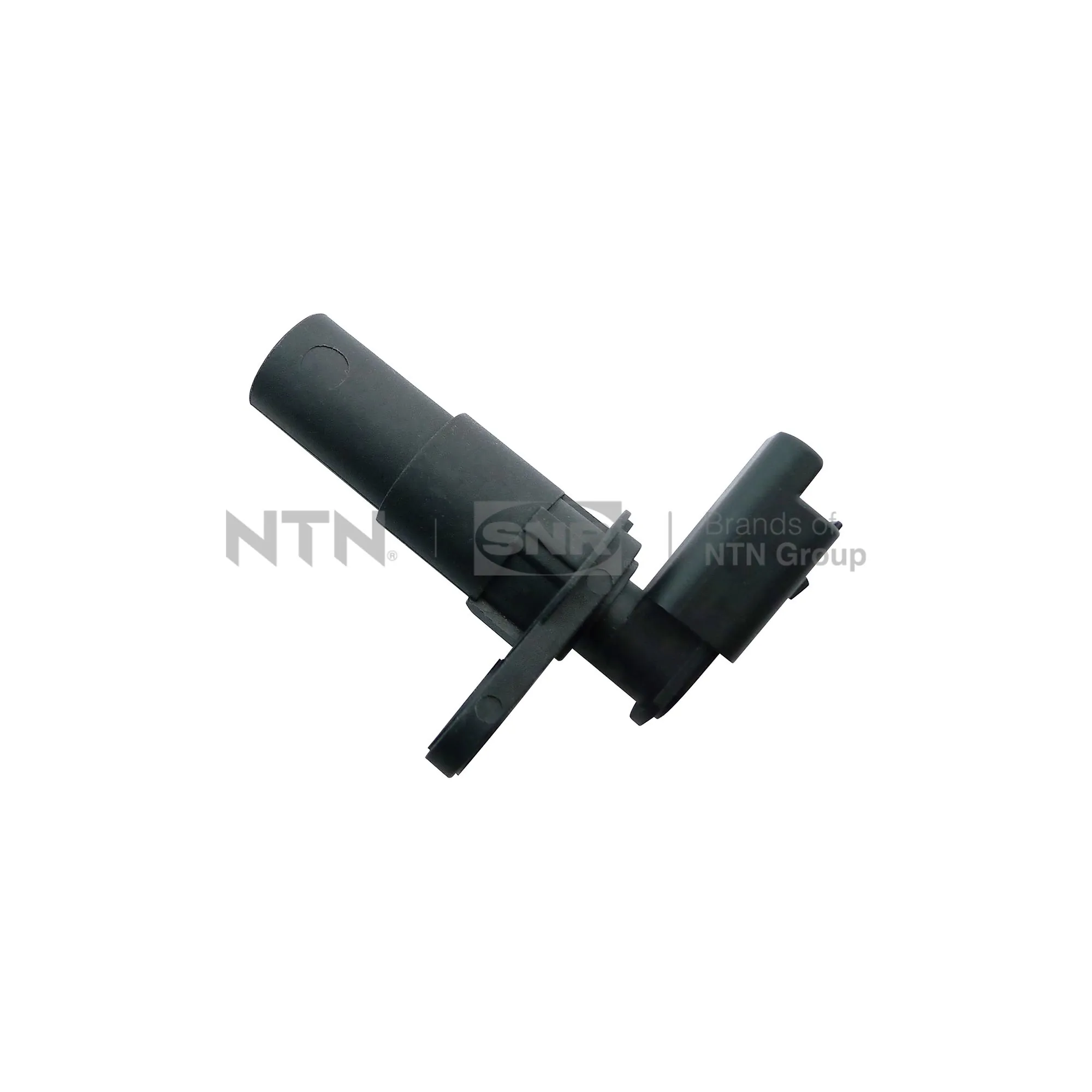 CKP15507 SNR