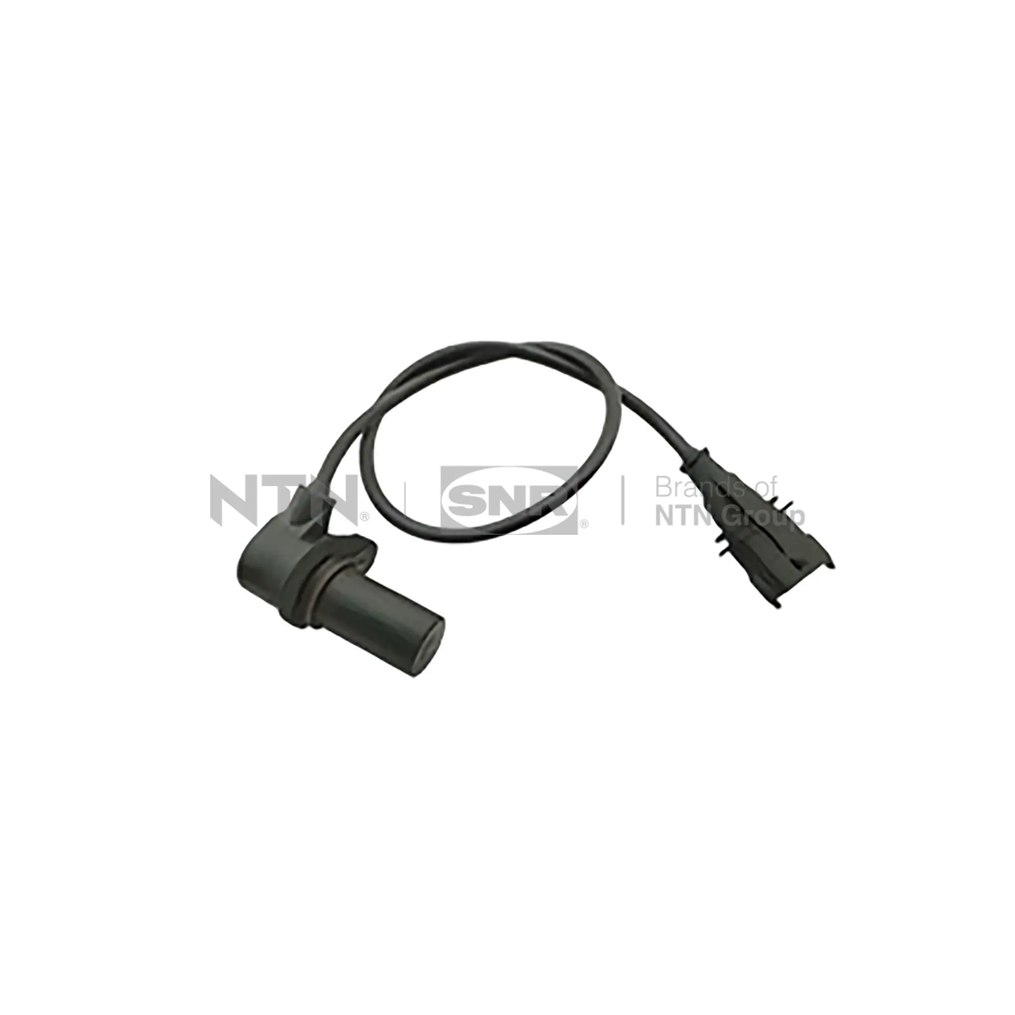 CKP15806 SNR