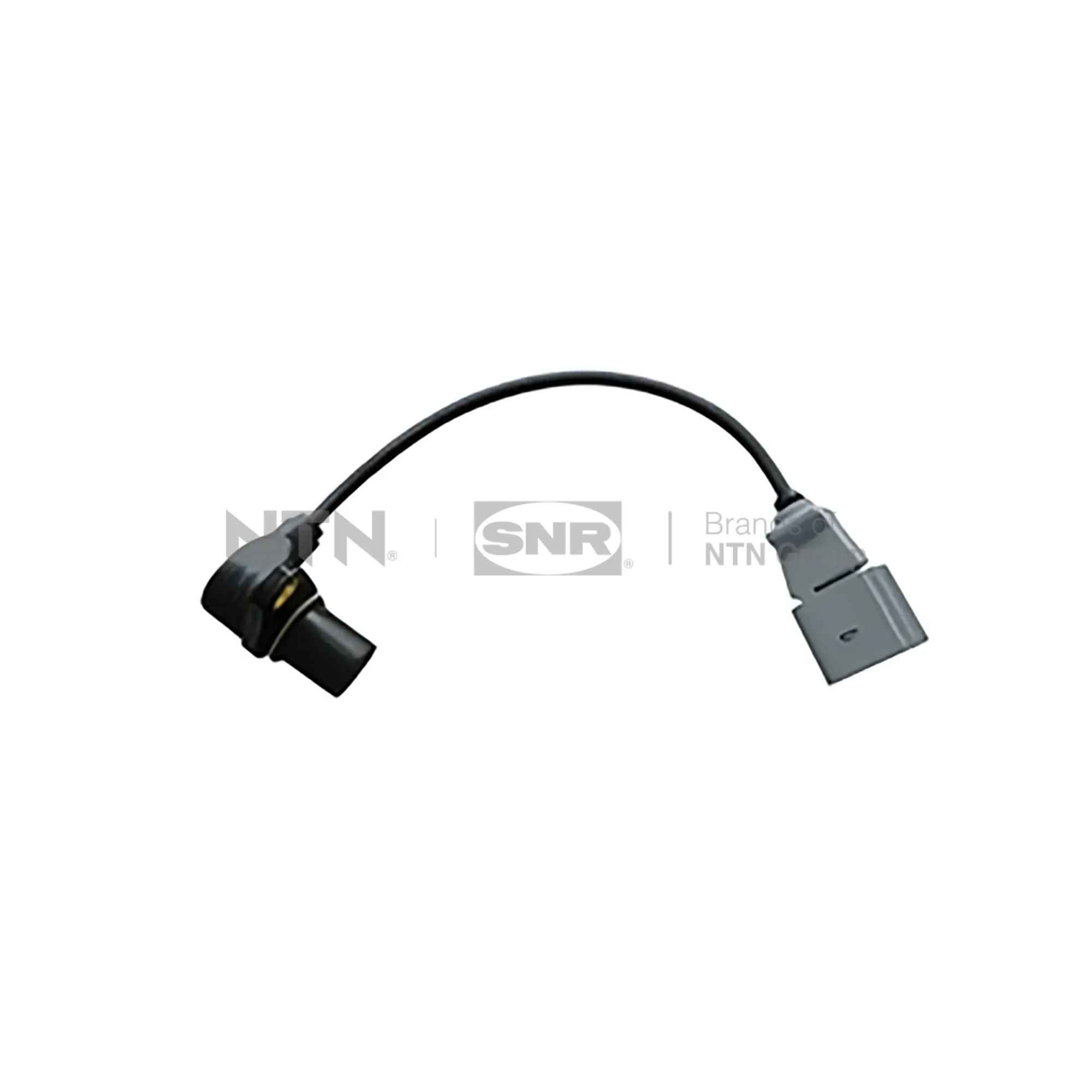 CKP15424 SNR