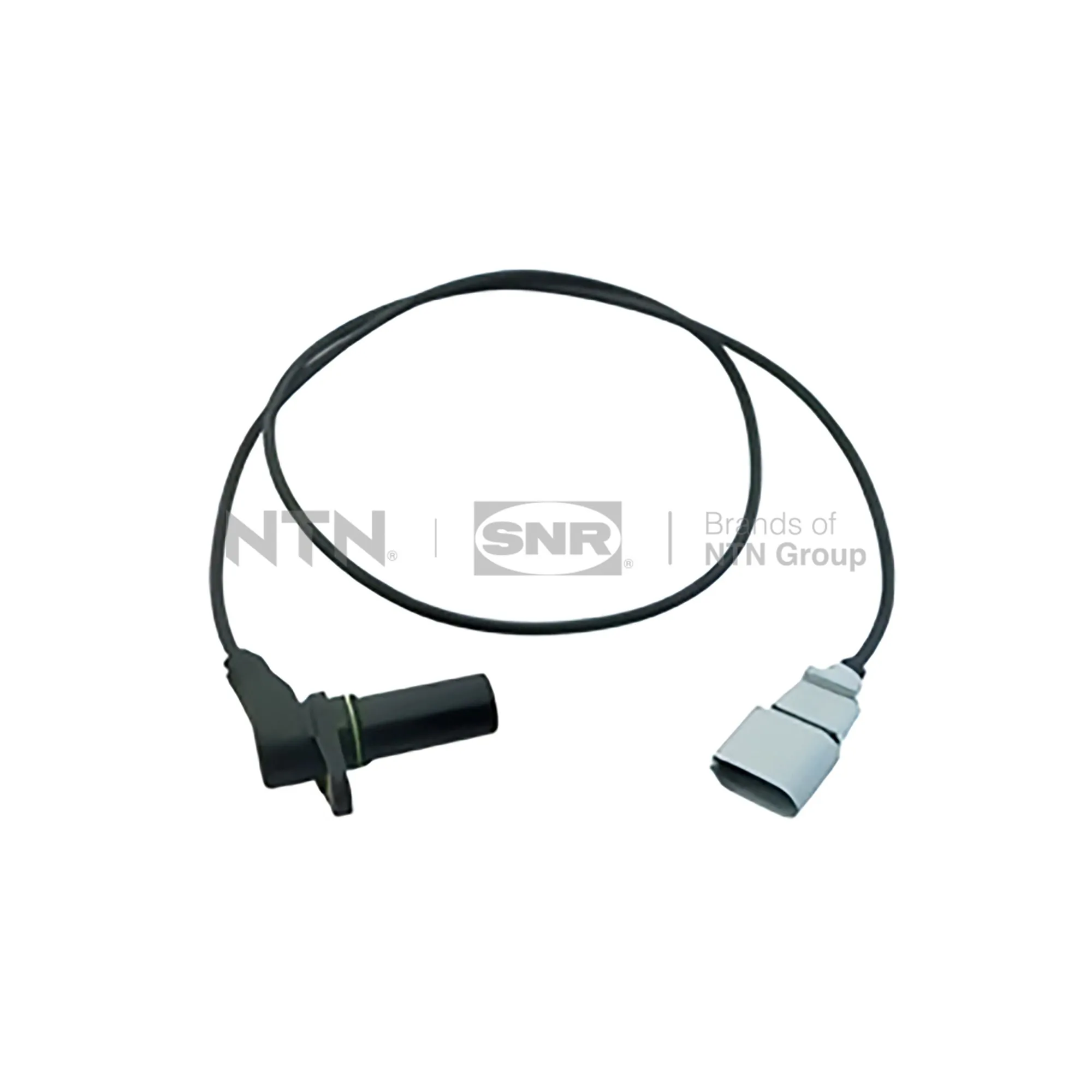 CKP15412 SNR