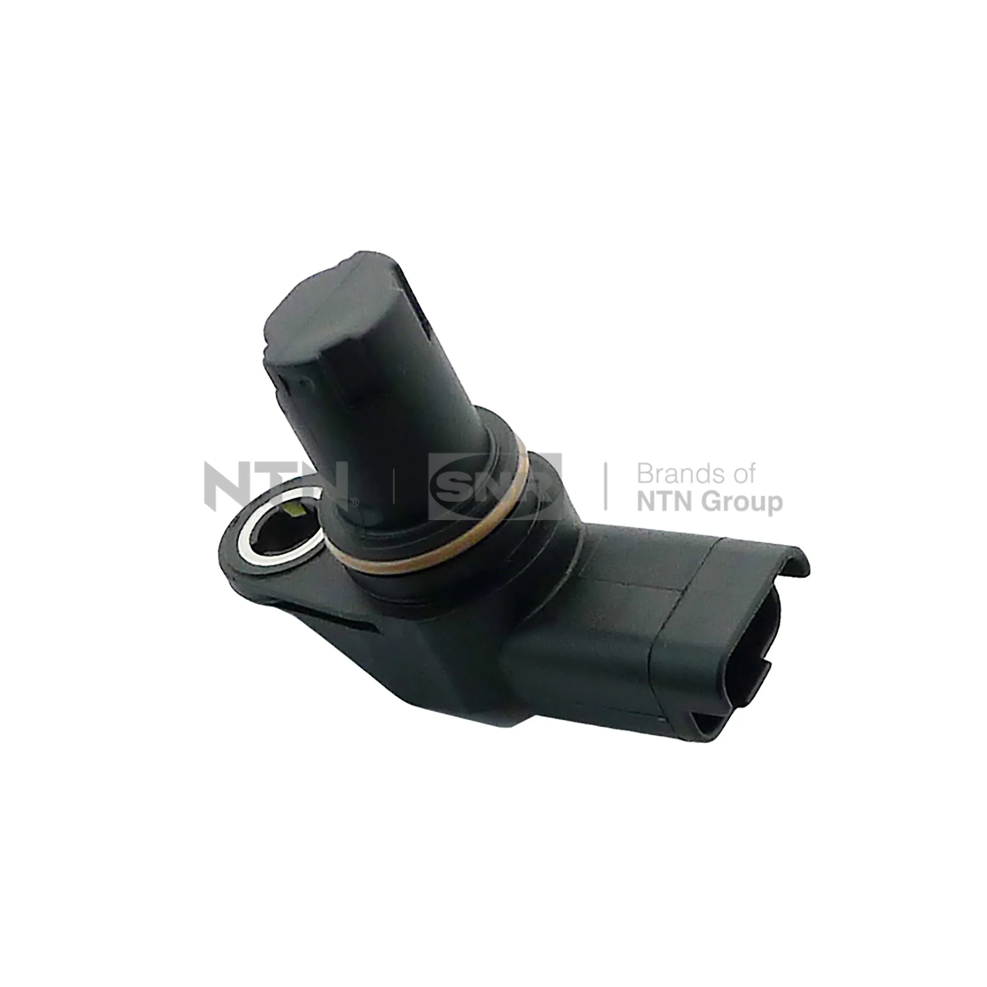 CMP17101 SNR
